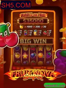 Descubra o Fascinante Mundo de FruitNovaSuper